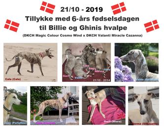 21/10-2020: Tillykke til Lamborghini kuldet