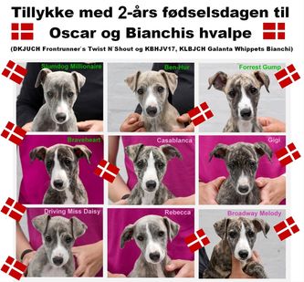 15/04-2022