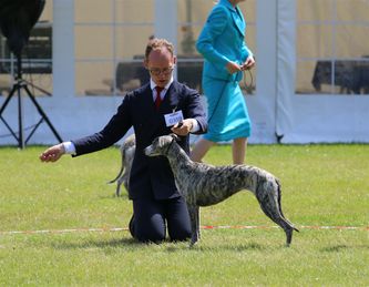 Foto: Torben Blach