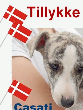 22/07-2022: Tillykke med de 6 år