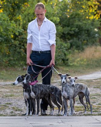 Thor med Selma, Akka, Tilla og Daisy