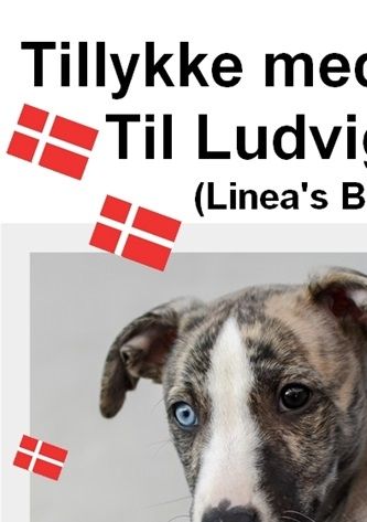 3/10-2022: Tillykke med de 4 år