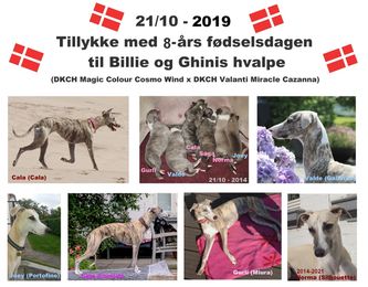 21/10-2022: Tillykke med de 8 år